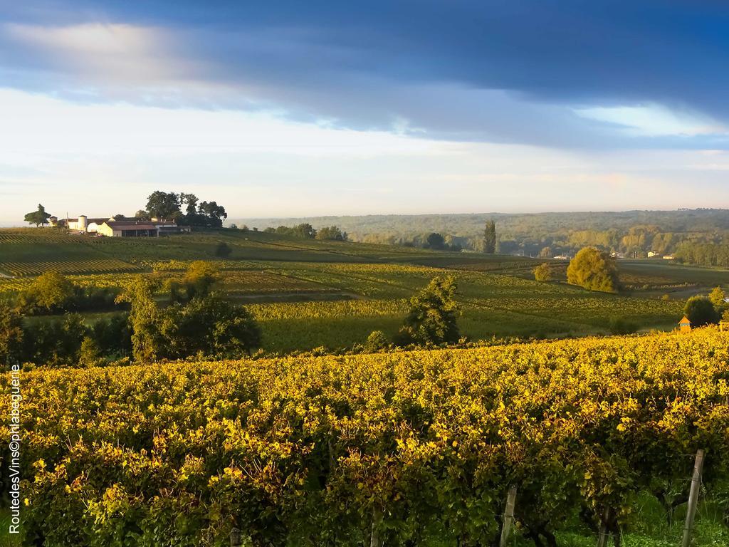 La Sauternaise, Luxury Boutique B&B Sauternes Exterior photo